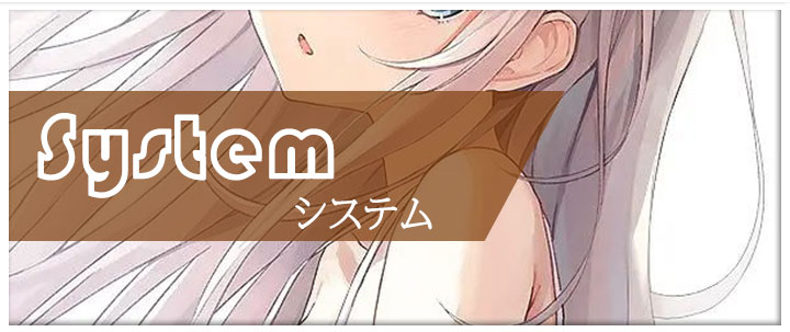 システム